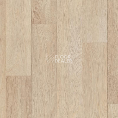 Линолеум IVC Corsa CAMARGUE 504 фото 1 | FLOORDEALER